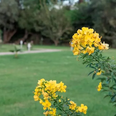 別荘 Casa Di Varco 1